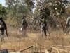 IED ब्लास्ट के वीरों को अंतिम विदाई: नम आंखों से 4 जवानों को दी गई आखिरी सलामी