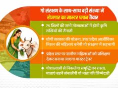 गो संरक्षण के साथ-साथ बड़ी संख्या में रोजगार का मास्टर प्लान तैयार