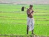 बदलती खेती में नैनो यूरिया और नैनो डीएपी बन रहे किसानों की नई पसंद