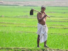 बदलती खेती में नैनो यूरिया और नैनो डीएपी बन रहे किसानों की नई पसंद