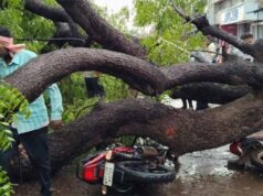 शिवपुरी में आंधी का कहर: प्ले ग्राउंड की बाउंड्री गिरी, 5 दबे, छत से गिरीं महिला व युवती