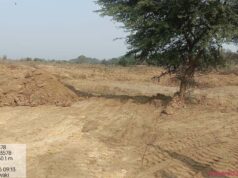 बिलासपुर की लाइफलाइन अरपा के तट पर उगेगा मियावाकी जंगल