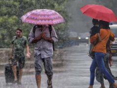 MP के 8 जिलों में बारिश का अलर्ट, 30-40 किमी/घंटा की रफ्तार से आंधी; भोपाल-इंदौर में तेज गर्मी जारी