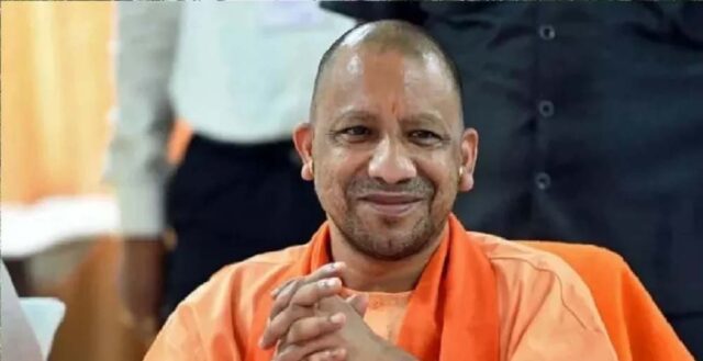 yogi_2_27_2-10.jpg
