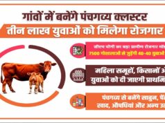 गांवों में बनेंगे पंचगव्य क्लस्टर, तीन लाख युवाओं को मिलेगा रोजगार