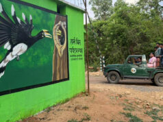 वन मंत्री केदार कश्यप की पहल से उदंती-सीतानदी टाइगर रिजर्व में शुरू होगी हॉर्नबिल सफारी