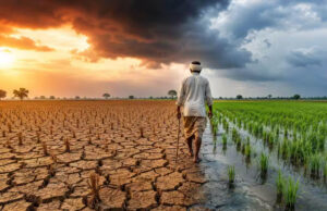 एल-नीनो का मानसून पर बड़ा असर, जून में 42% कम बारिश; 100 साल का तीसरा सबसे सूखा महीना