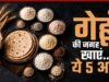 गेहूं का हेल्दी विकल्प: 5 हाई-फाइबर आटे जो बढ़ाएं सेहत