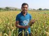 मिलेट से बढ़ी आय, किसानों के जीवन में आई खुशहाली श्री अन्न की खेती बन रही लाभ का नया माध्यम