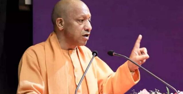 yogi_2_27_1-3.jpg