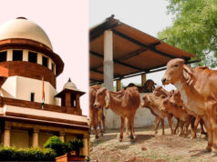 तमिलनाडु में गौहत्या मामले पर सुप्रीम कोर्ट का बड़ा फैसला, HC के आदेश पर रोक हटाई, राज्य सरकार को राहत
