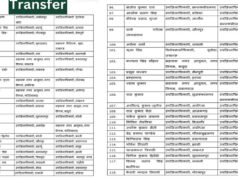 UP में तबादलों की बड़ी लहर: 12 घंटे में 363 अफसरों का ट्रांसफर, 181 PCS अधिकारी भी बदले गए