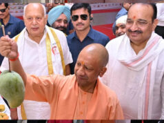 UP Mango Festival: आधा किलो का आम देख CM योगी हुए खुश, प्रदर्शनी में आकर्षण का बना केंद्र