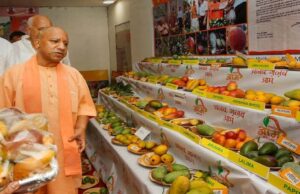 उत्तर प्रदेश आम महोत्सव 2026: सीएम योगी ने बताया—राज्य देश के 26% आम उत्पादन का केंद्र