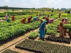 योगी सरकार 13 प्रमुख नदियों के तट क्षेत्र पर रोपेगी 3.83 करोड़ से अधिक पौधे