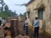 पेड़ों की अवैध कटाई पर बड़ा एक्शन, प्रधान पाठक निलंबित, अध्यक्ष और सचिव पर होगी FIR