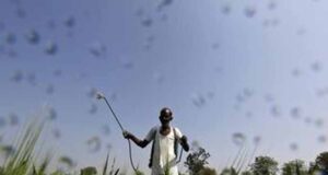 मुख्यमंत्री डॉ. यादव 10.54 लाख किसानों के खातों में 1460.25 करोड़ की राशि करेंगे अंतरित