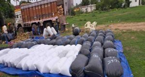 रीवा पुलिस की अवैध मादक पदार्थों के विरूद्ध बड़ी कार्रवाई