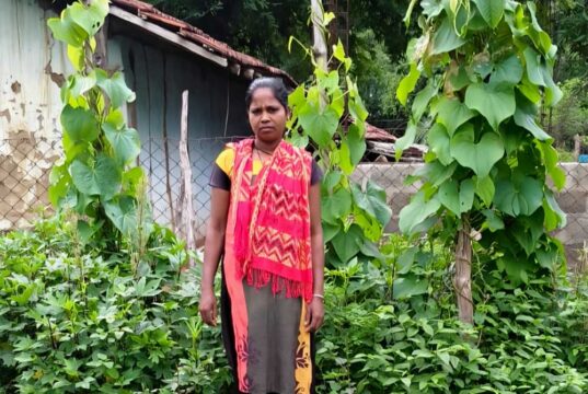 किचन गार्डन से आत्मनिर्भर बन रहीं बिहान की दीदियां