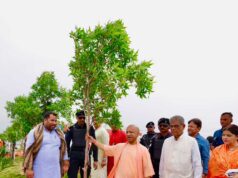 पौधरोपण महाभियान धरती माता के प्रति कृतज्ञता ज्ञापित करने का महायज्ञ: सीएम योगी
