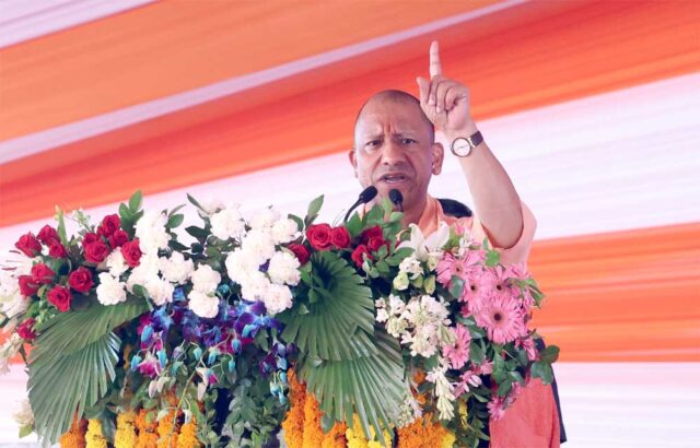 yOGI_02-3.jpg