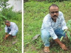अनवर खान ने लगाए अशाेक ,नीम का पौधे