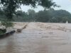 MP में भारी बारिश का कहर! डिंडौरी-पन्ना में स्कूल-आंगनबाड़ी बंद, सतना में चरवाहा बहा