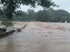 MP में भारी बारिश का कहर! डिंडौरी-पन्ना में स्कूल-आंगनबाड़ी बंद, सतना में चरवाहा बहा
