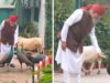 PM मोदी ने शेयर किया खास वीडियो, गायों को चारा और मोरों को खिलाया दाना