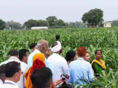अम्बिकापुर में राष्ट्रीय खाद्य सुरक्षा एवं पोषण मिशन से किसानों को मिल रहा संबल