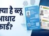 नीला और सफेद आधार कार्ड में क्या है अंतर? जानें बाल आधार के नियम और बायोमेट्रिक अपडेट की उम्र