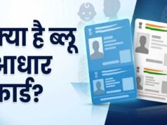 नीला और सफेद आधार कार्ड में क्या है अंतर? जानें बाल आधार के नियम और बायोमेट्रिक अपडेट की उम्र