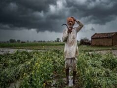 खंडवा में औसत से 100 मिमी कम बारिश, रबी फसल पर मंडराया सिंचाई संकट