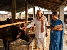 गोरखपुर में मिनी नंदिनी योजना का बढ़ा दायरा, 20 नए लाभार्थी जुड़े; संख्या 26 हुई