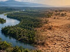 खतरे की घंटी! 2100 तक 40% धरती बन सकती है रेगिस्तान, इंसानों से लेकर पेड़-पौधों तक पर मंडराएगा संकट