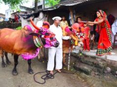 CG में पोला पर्व की धूम, CM विष्णुदेव साय कार्यक्रमों में होंगे शामिल