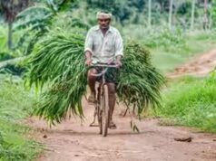 यूपी के किसानों को बड़ी राहत, अब 6% ब्याज पर मिलेगा ₹6 लाख तक का कृषि ऋण