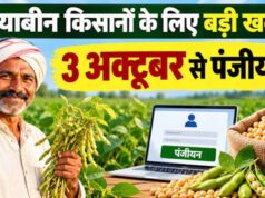 3 अक्टूबर से सोयाबीन पंजीयन शुरू, भावांतर योजना में फिर होगी खरीदी; ₹1 से वेरिफिकेशन