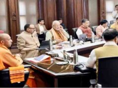 यूपी में बनेंगे 4 नए लिंक एक्सप्रेसवे, योगी कैबिनेट ने पशुधन मिशन समेत कई प्रस्तावों को दी मंजूरी
