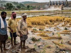 बस्तर में बाढ़ और तूफान से 4 हजार हेक्टेयर धान बर्बाद, किसानों को मिलेगा ₹10 हजार प्रति एकड़ मुआवजा
