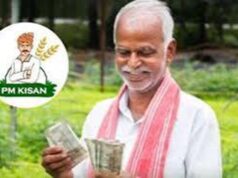 PM Kisan 24वीं किस्त पर बड़ा अपडेट, अक्टूबर में खाते में आ सकते हैं ₹2,000; जानें पूरी डिटेल