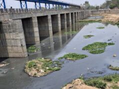 CG हाईकोर्ट की सख्ती, पूछा- 4 STP से कैसे साफ होगा अरपा नदी में गिरने वाले 70 नालों का पानी?